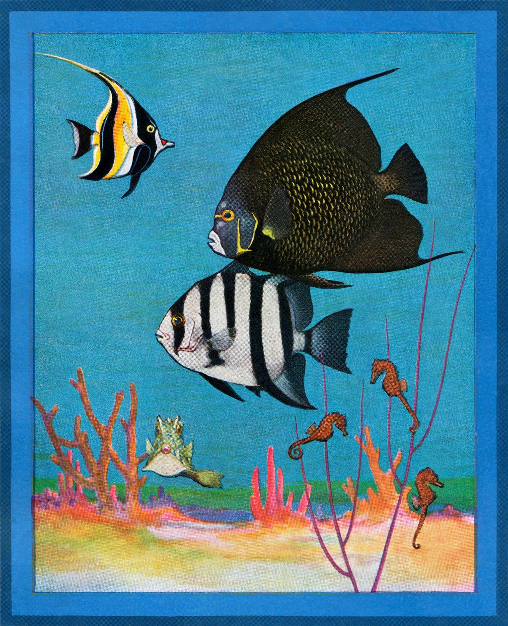 Stampa vintage di un acquario d
