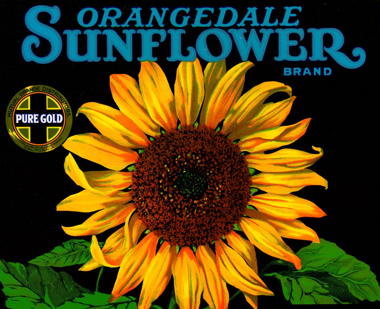 Etichetta vintage per cassette di frutta con girasole da American School