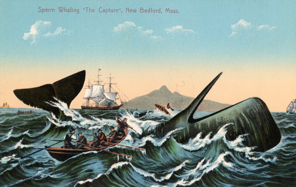 Baleniere che arpionano un capodoglio al largo di New Bedford, Massachusetts da American School