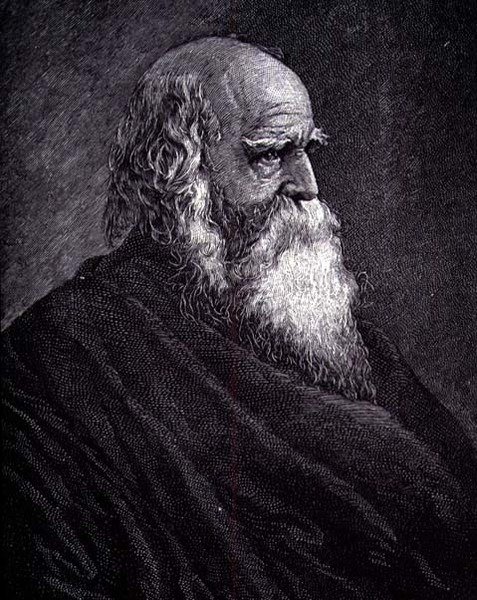 William Cullen Bryant da American School