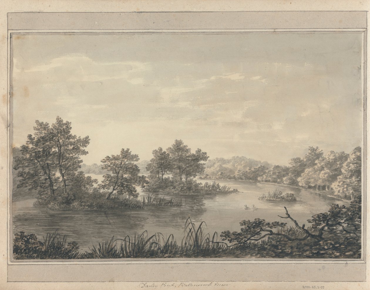 Vedute in Inghilterra, Scozia e Galles: Darley Pond, Buttercoomb Moor da Amos Green