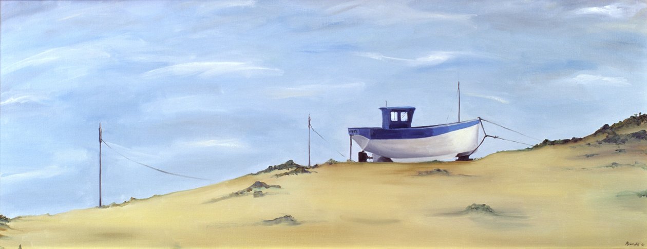 Arenato da Ana Bianchi