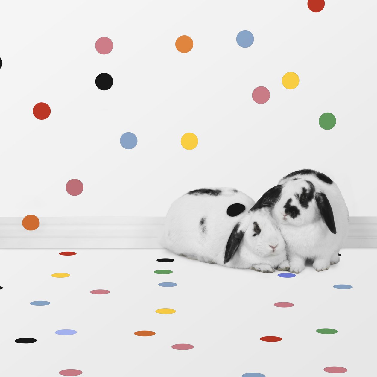 Coniglietti 05, 2018 (fotografia) da Ana Carolina Tavares Mizrahi