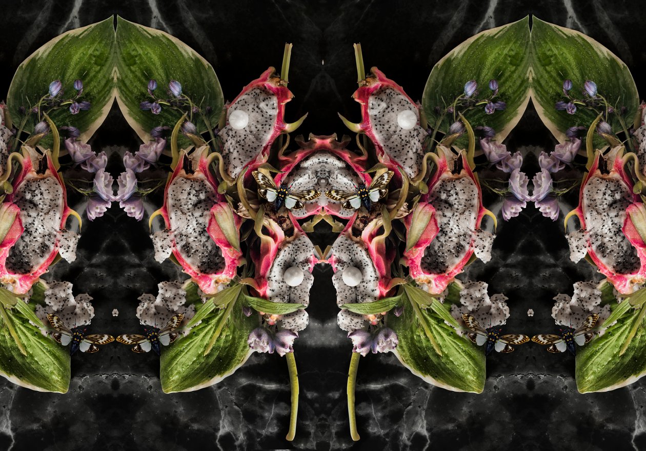 Eve_01, 2016 (Fotografia) da Ana Carolina Tavares Mizrahi