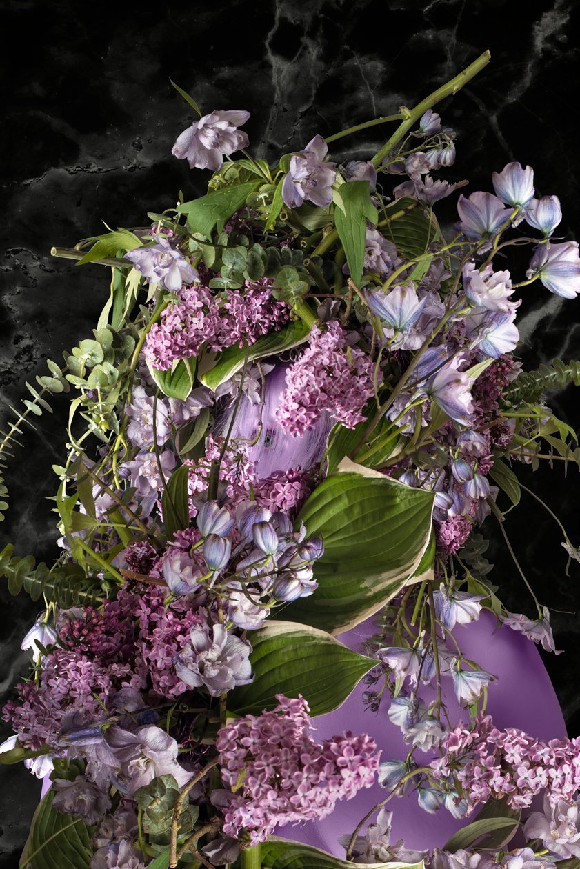 Eve_12, 2016 (Fotografia) da Ana Carolina Tavares Mizrahi