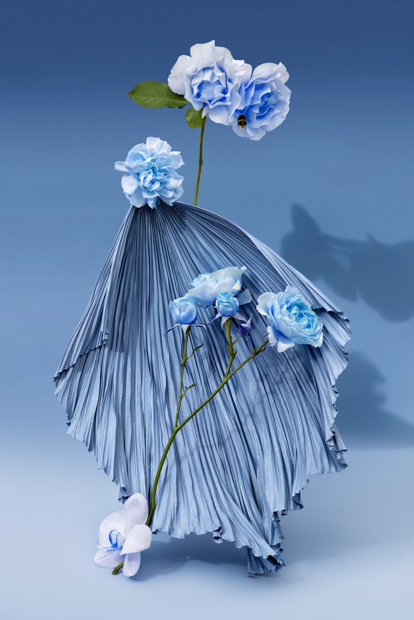  da Ana Carolina Tavares Mizrahi
