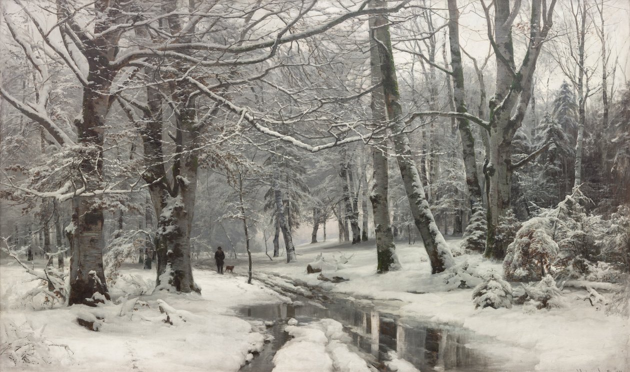 Disgelo in una faggeta da Anders Andersen Lundby