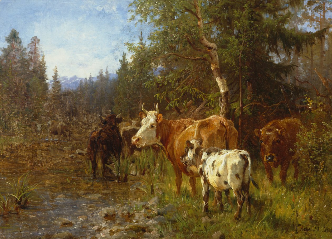Mucche vicino al pozzo d