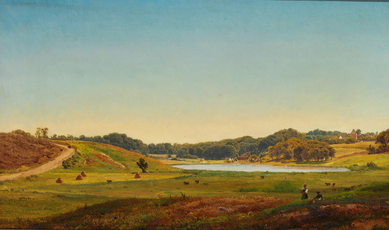 Paesaggio danese del raccolto da Anders Christian Lunde