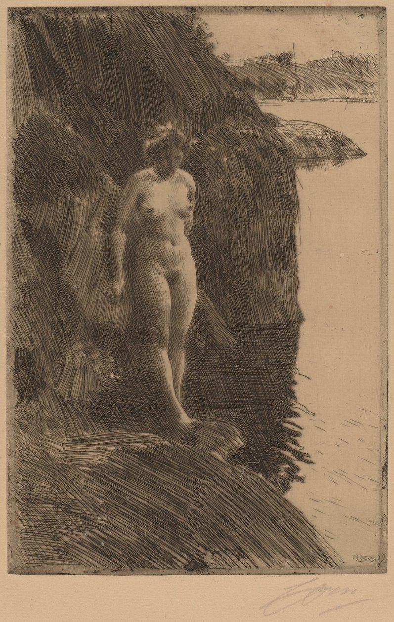 Precipizio da Anders Leonard Zorn
