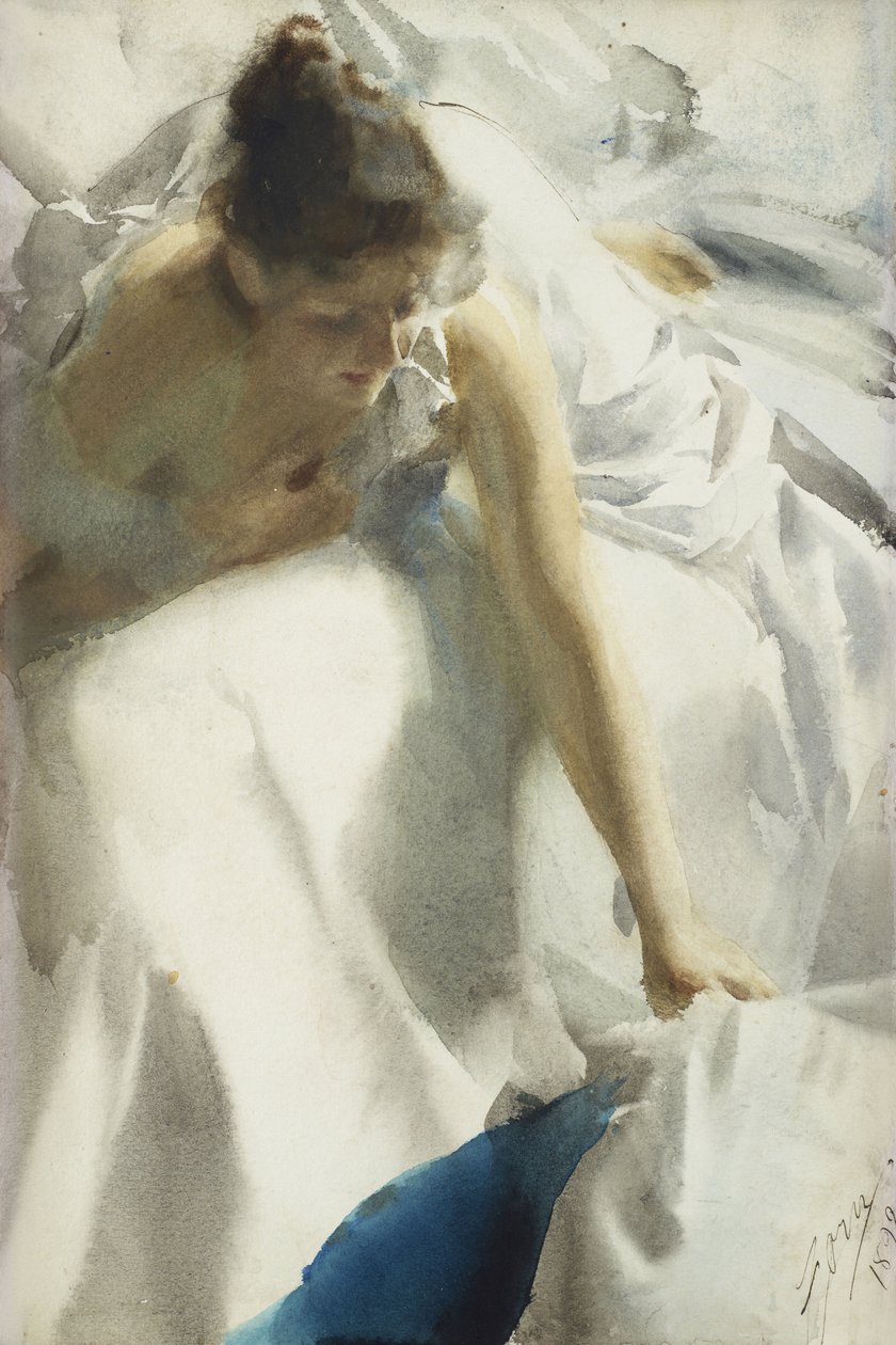 Risveglio, boulevard Clichy, Parigi da Anders Leonard Zorn