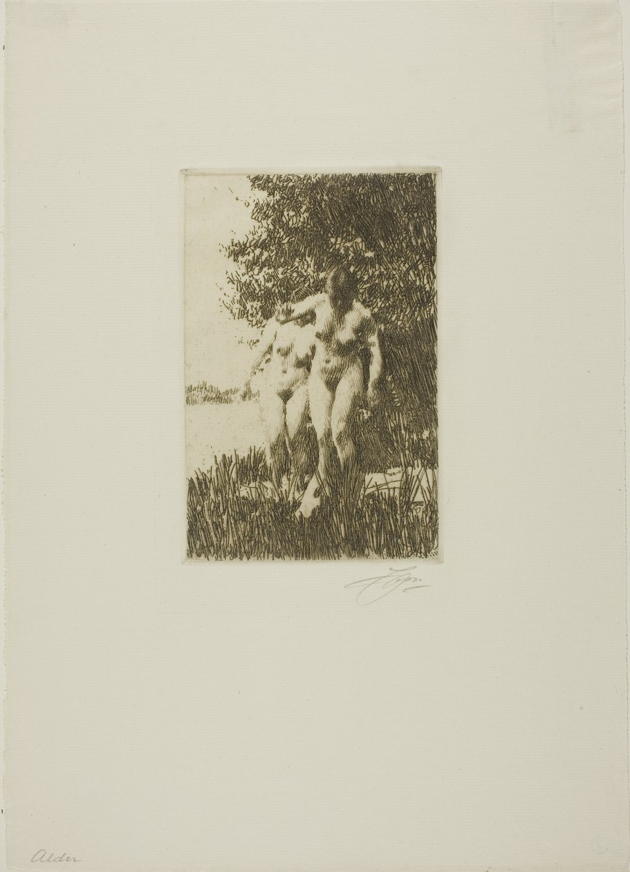 Ontano da Anders Leonard Zorn