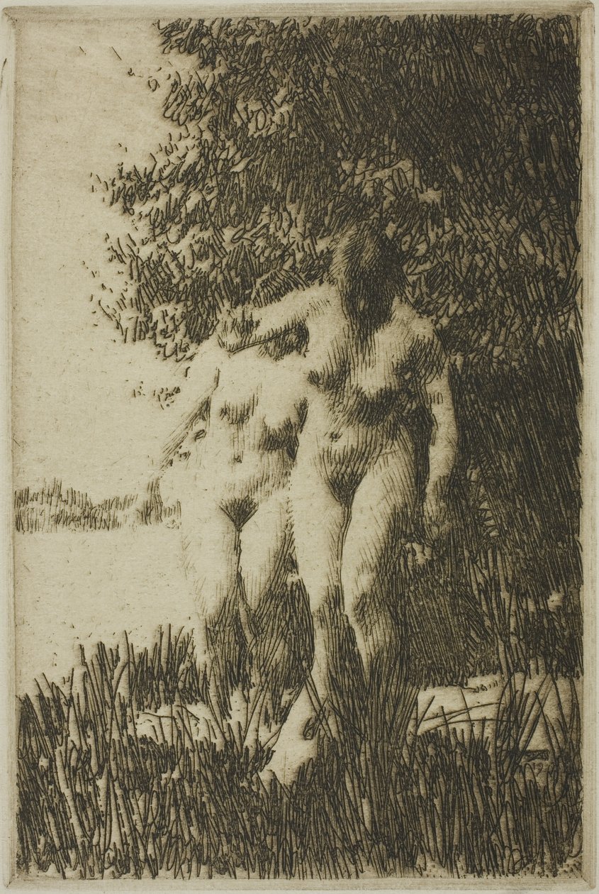 Ontano da Anders Leonard Zorn