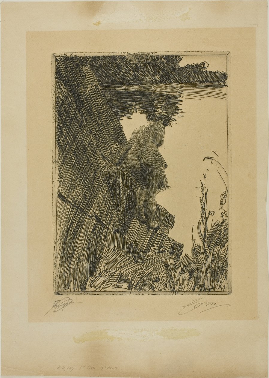 Bagnante (Sera) II da Anders Leonard Zorn