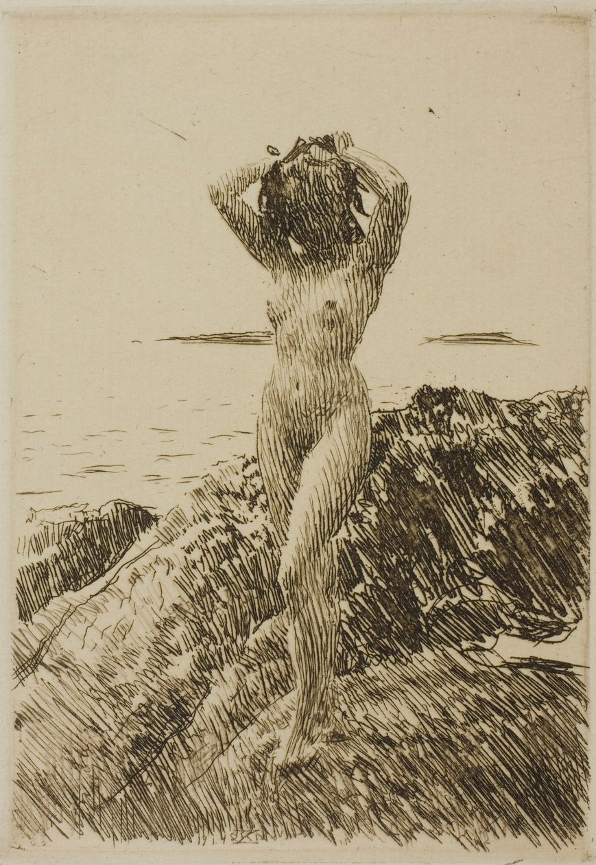 Hårtång (Ghirlanda di alghe) da Anders Zorn