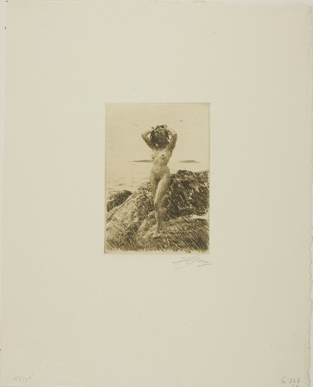 Corona di alghe marine da Anders Leonard Zorn