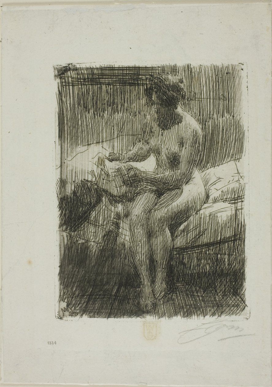 Modello che legge da Anders Leonard Zorn