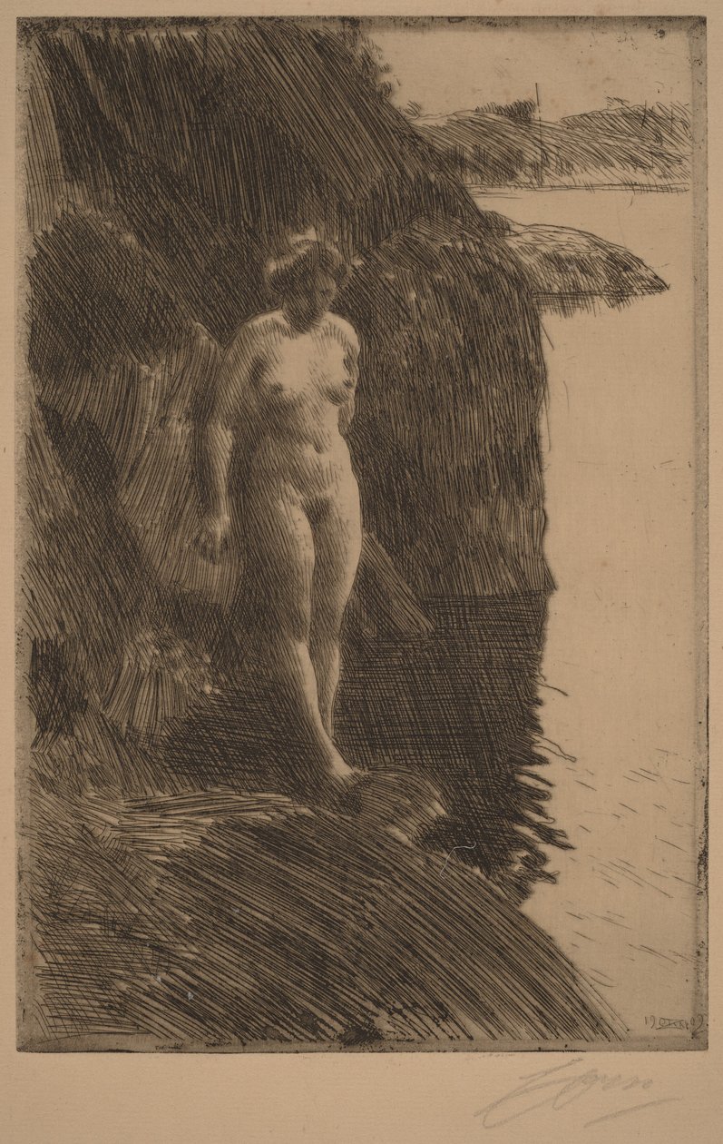 Precipizio da Anders Zorn