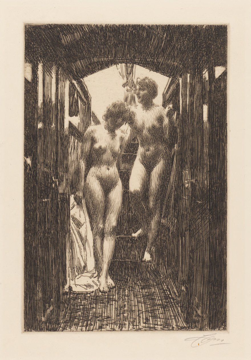La capanna da Anders Zorn