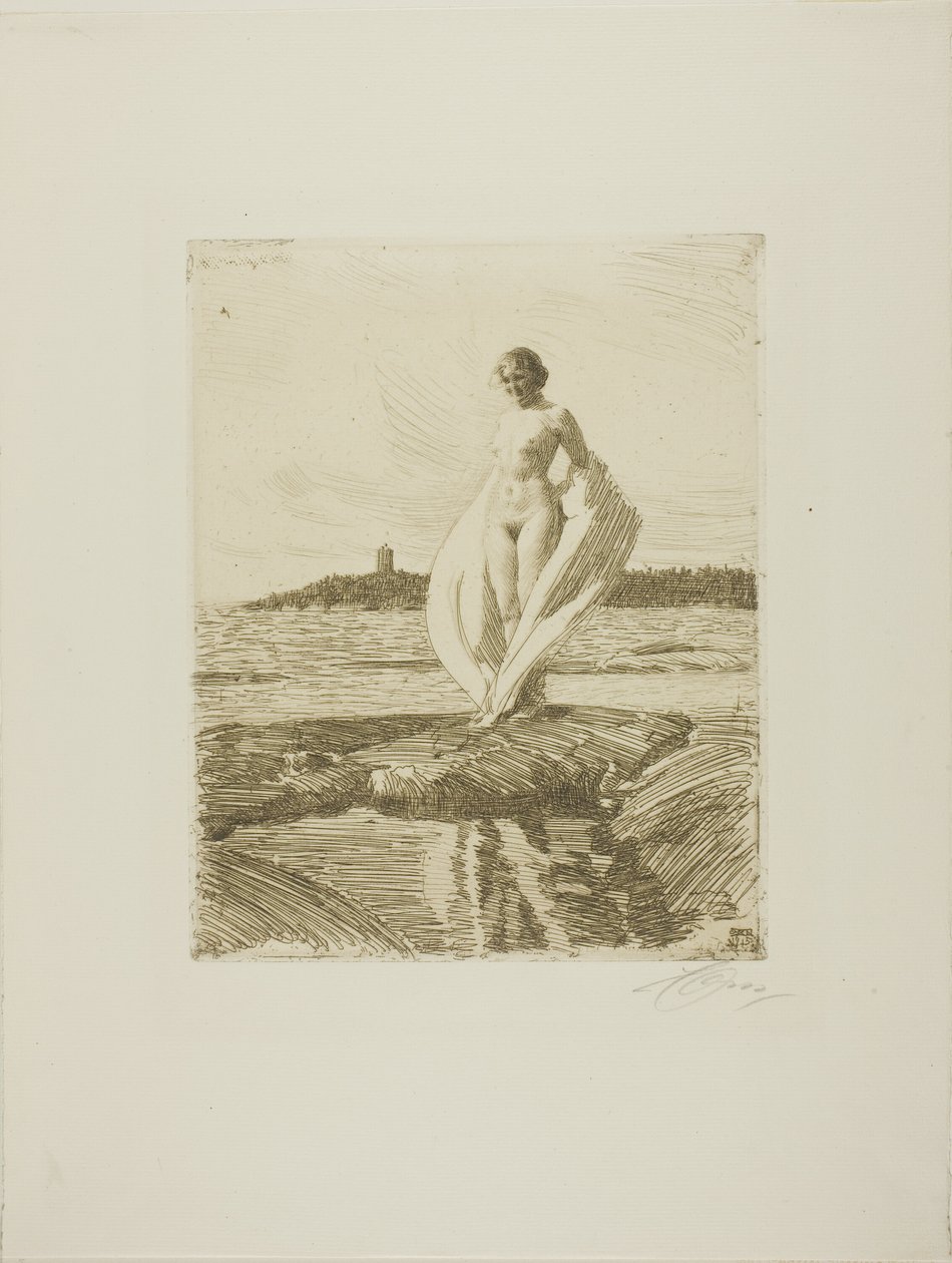 Il Cigno da Anders Leonard Zorn