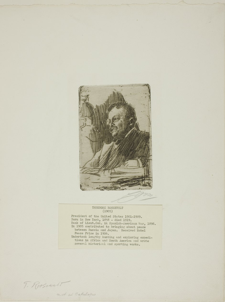 Theodore Roosevelt da Anders Leonard Zorn