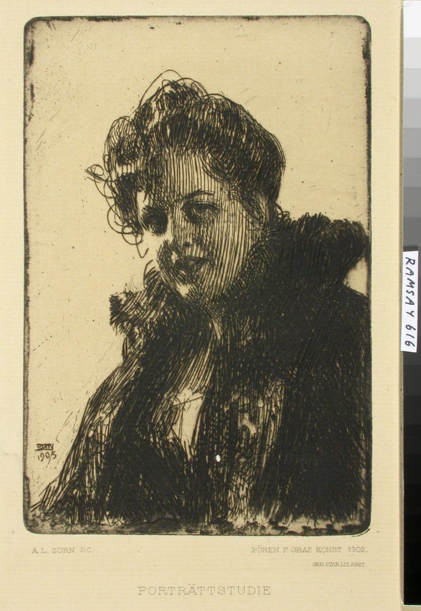 Senza titolo da Anders Zorn