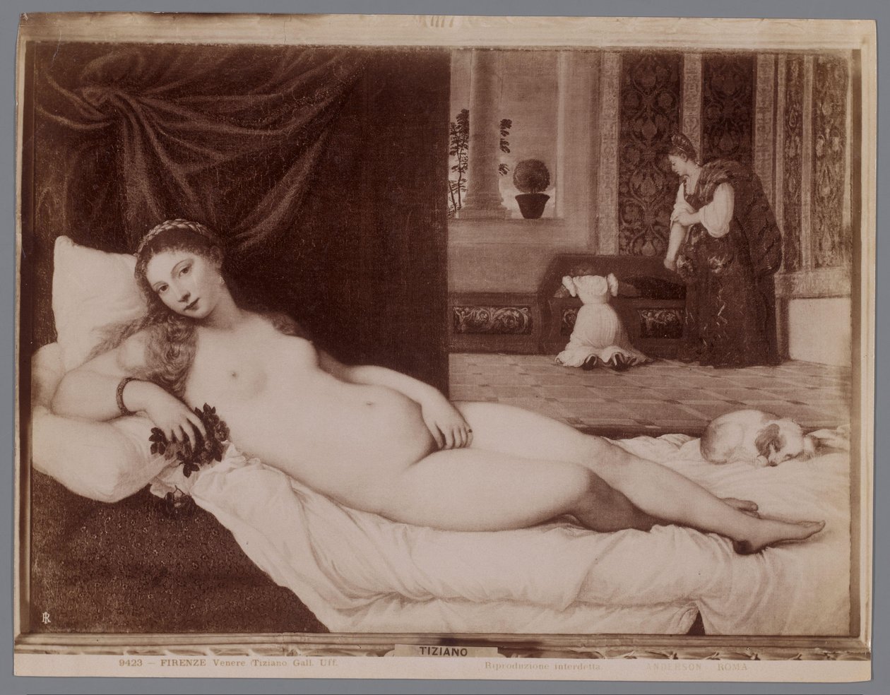 Fotoreproduzione del dipinto la Venere di Urbino di Tiziano da Anderson (firma)
