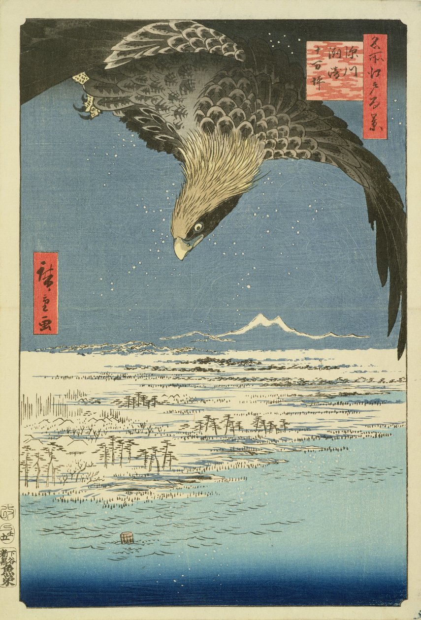 Aquila sopra la pianura di 100.000 acri a Susaki, Fukagawa (