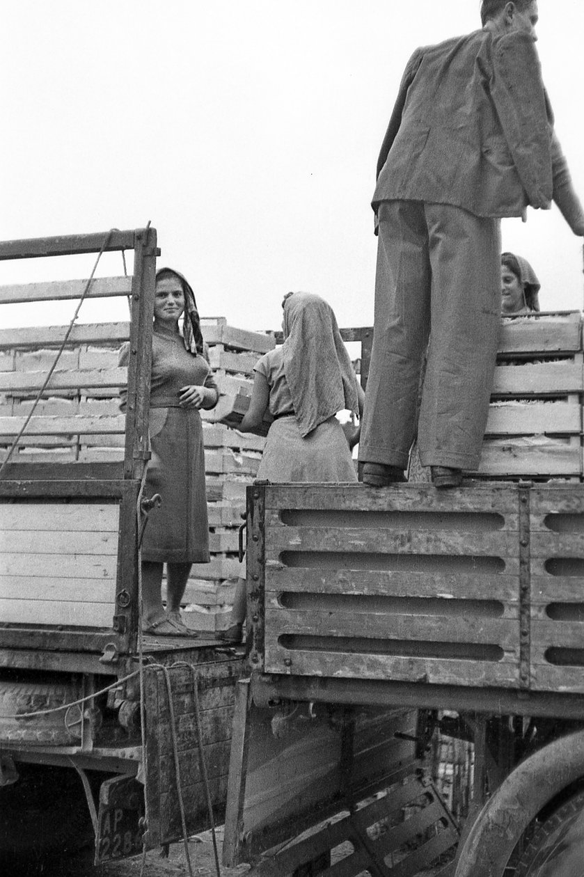 UVA AMARA - FACCHINE PER LO SPEDIZIONIERE da Ando Gilardi