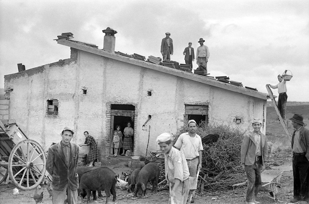 CHE CELEBRA LA COPERTURA DEL TETTO, da Ando Gilardi