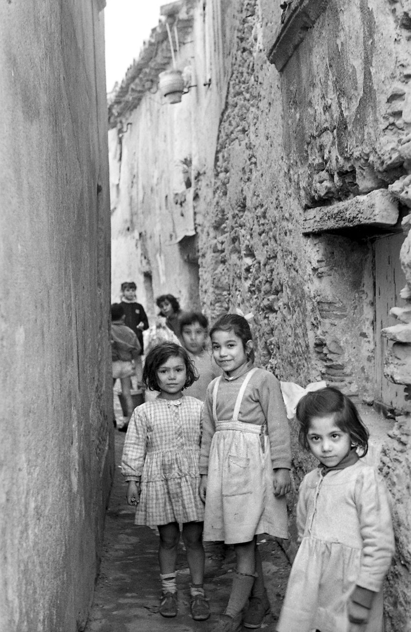 CROTONE - CHILDREN da Ando Gilardi