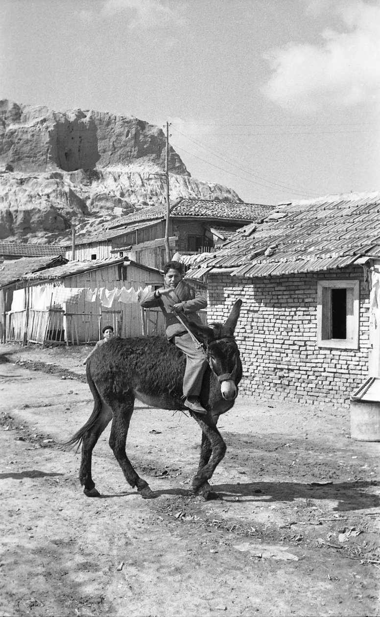 CROTONE - GIOVANE MULATTIERE da Ando Gilardi