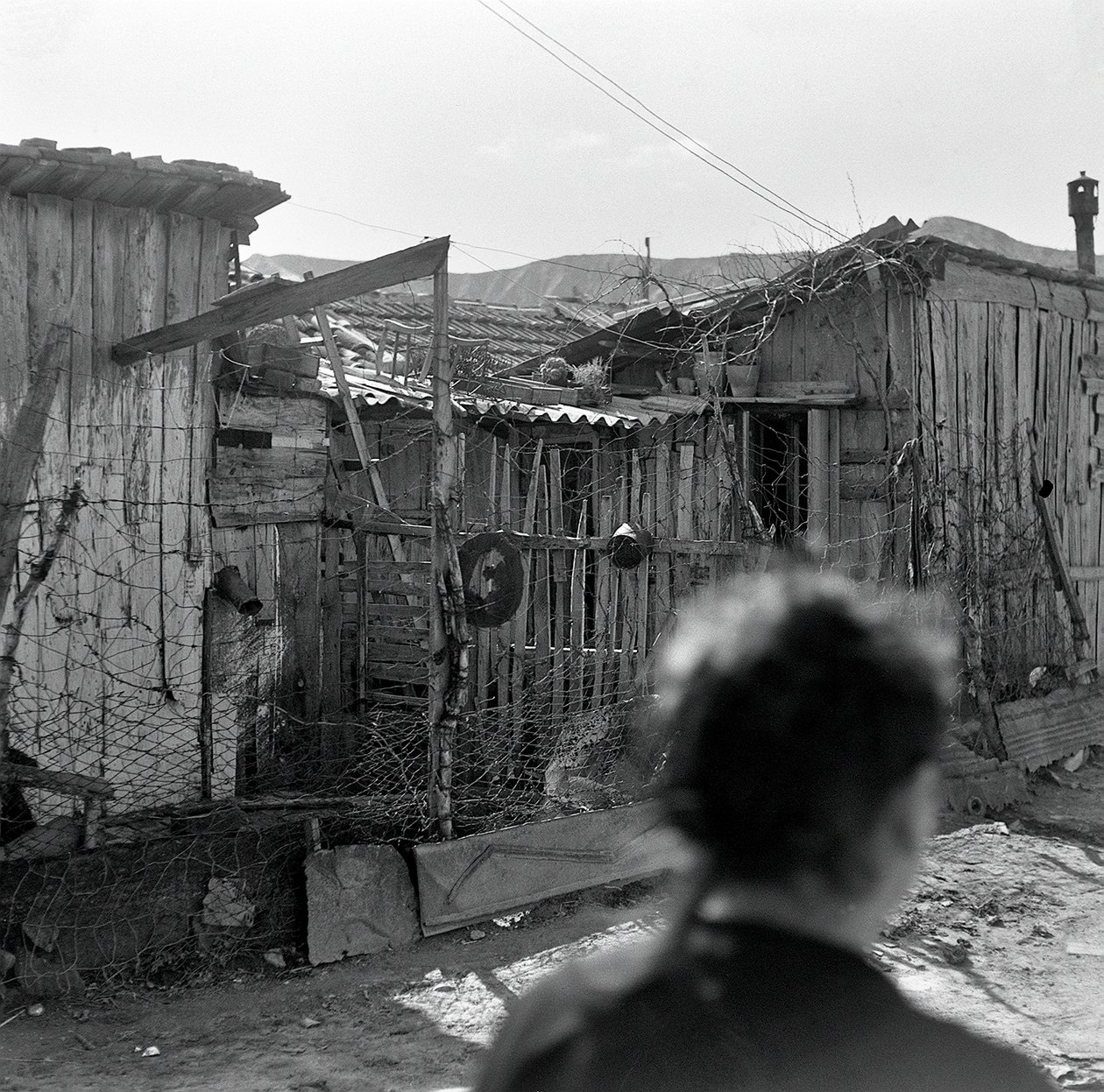 FINE TRIMESTRE SHANGHAI da Ando Gilardi