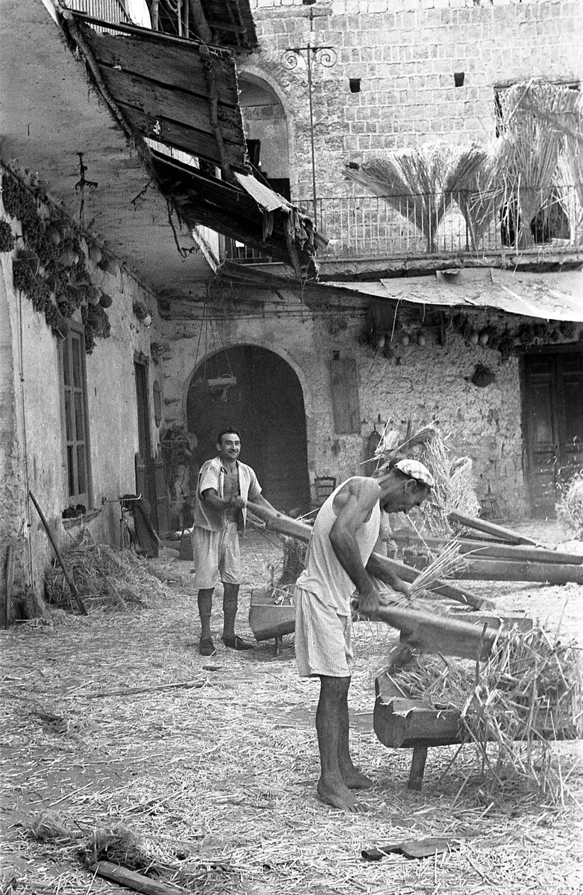 LAVORAZIONE DELLA CANAPA, IL DOSAGGIO da Ando Gilardi