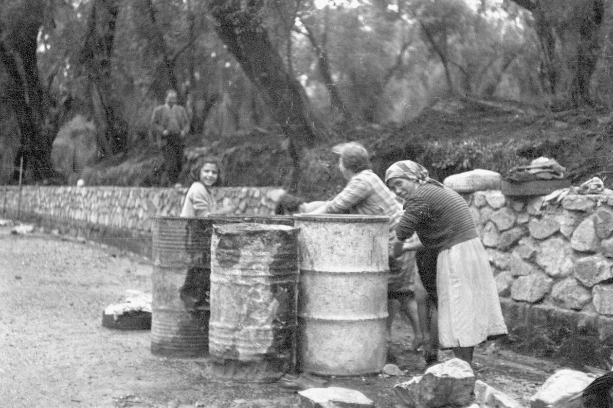 Raccoglitori di olive da Ando Gilardi