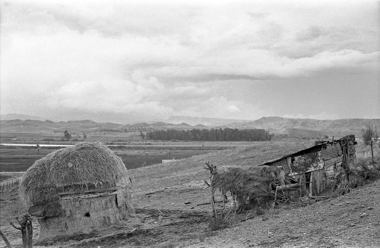 BARACCA CON FIENILE da Ando Gilardi