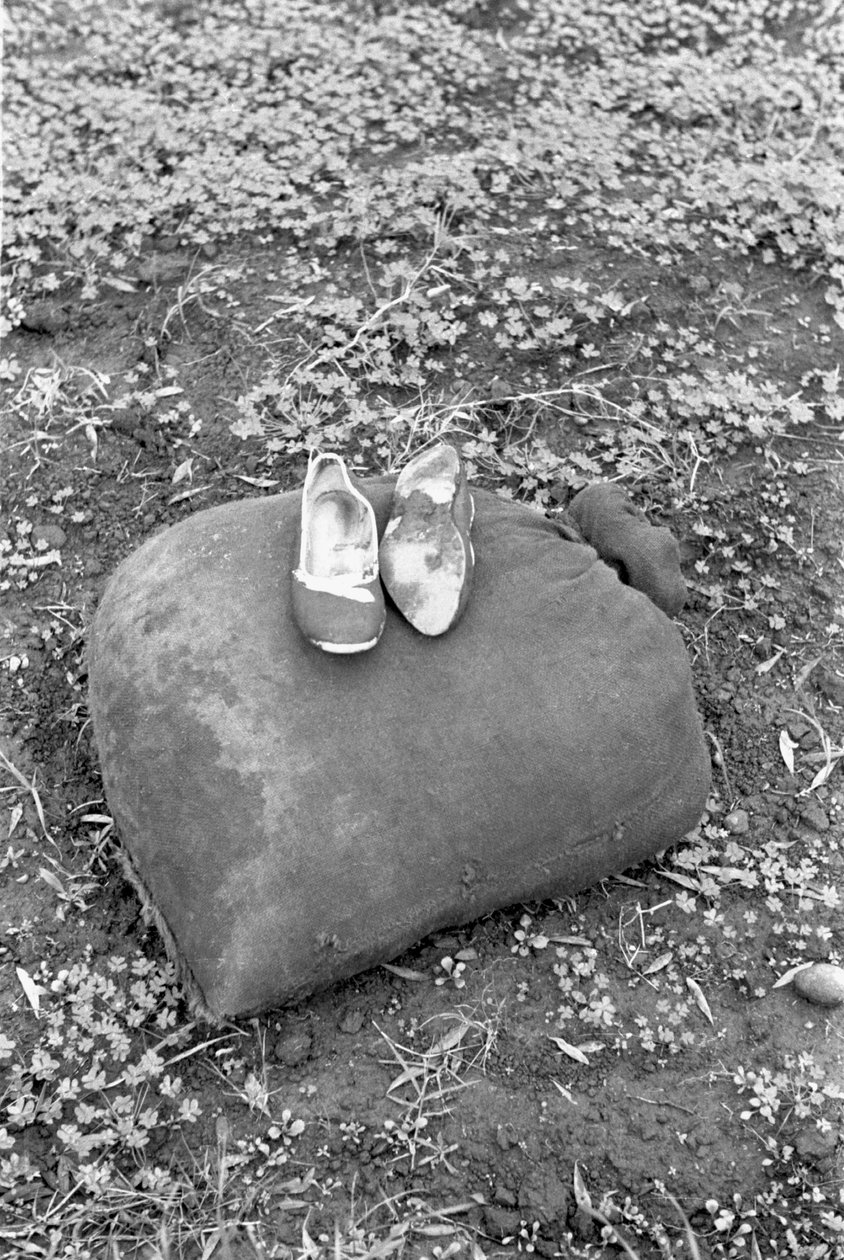 SCARPE DI UNA RACCOGLITRICE DI OLIVE da Ando Gilardi
