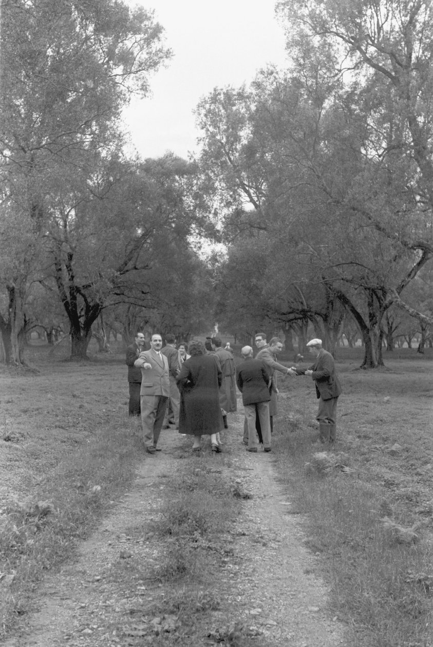 SINDACALISTI IN OLIVE GROVE da Ando Gilardi