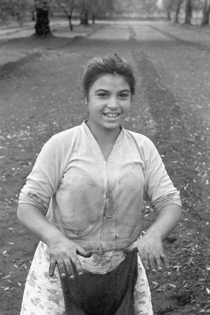 GIOVANE RACCOGLITORE DI OLIVE da Ando Gilardi