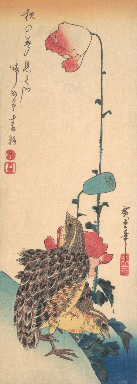 Una coppia di quaglie e papaveri, ca. 1835 da Ando Hiroshige