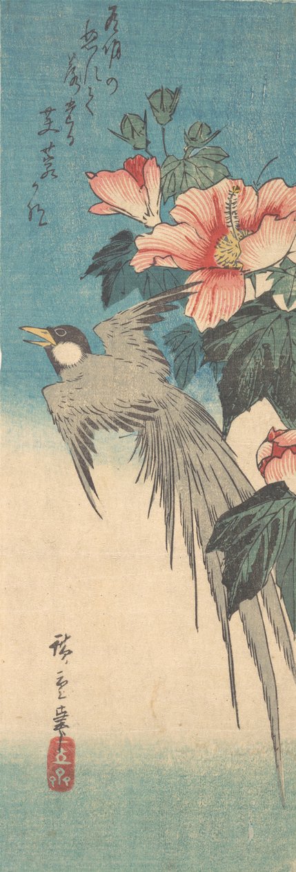 Hibiscus Mutabilis e uccello dalla lunga coda, ca. 1842 da Ando Hiroshige