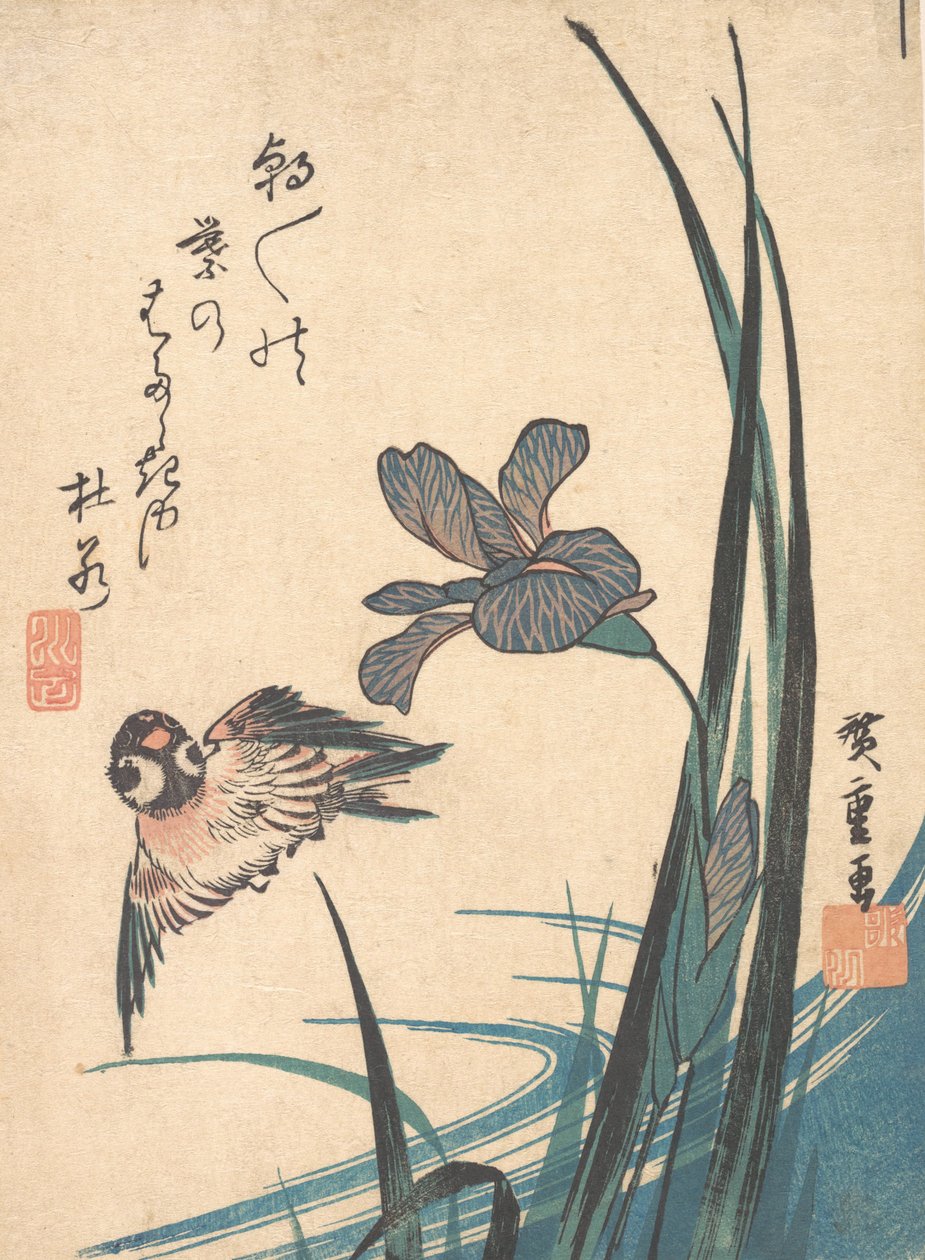 Iris e passero da Ando Hiroshige