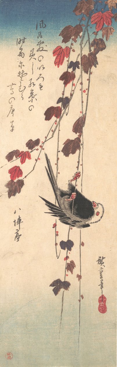 Cincia dal Lungo Codino su Edera Autunnale, ca. 1835 da Ando Hiroshige