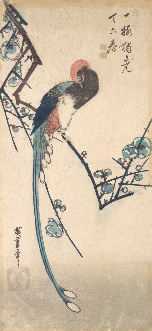 Uccello dalla lunga coda da Ando Hiroshige