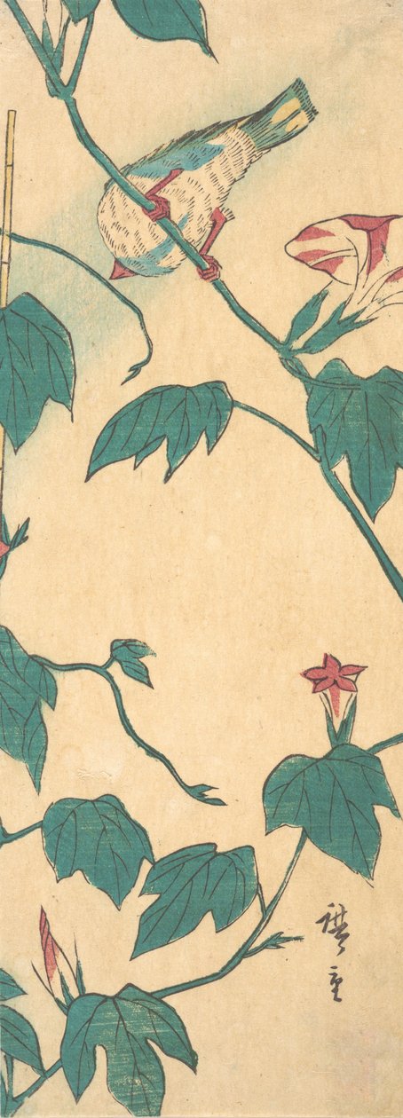 Glorie del mattino e uccello da Ando Hiroshige