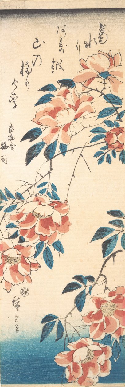 Rosa da Ando Hiroshige
