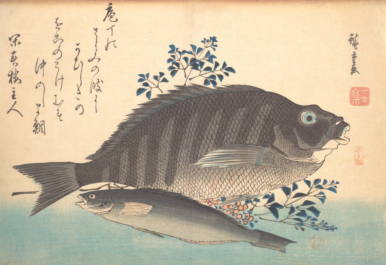 Shimadai e Ainame Pesci, dalla serie Uozukushi Ogni Varietà di Pesce da Ando Hiroshige