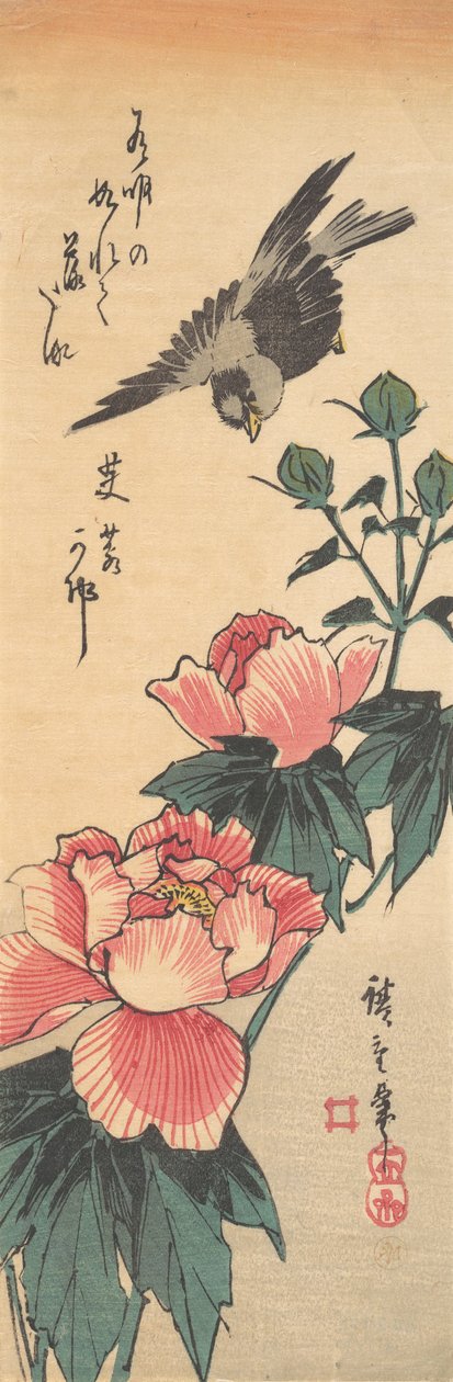 Passero e Ibisco da Ando Hiroshige