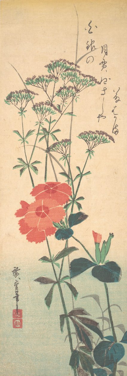 Garofani superbi e agrimonia cinese, ca. 1836 da Ando Hiroshige