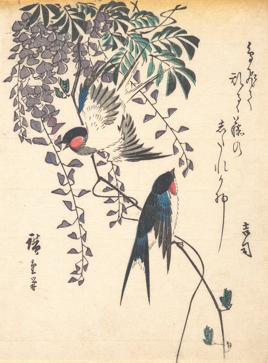 Rondine e Glicine da Ando Hiroshige